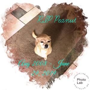 Meet your Posher, Jenny